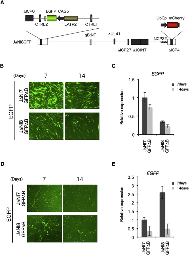 Figure 3