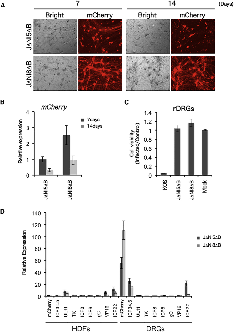 Figure 2