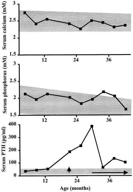 Figure  3