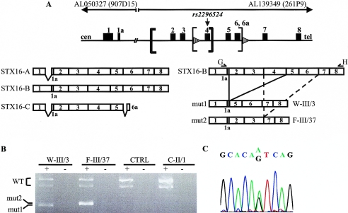 Figure  5