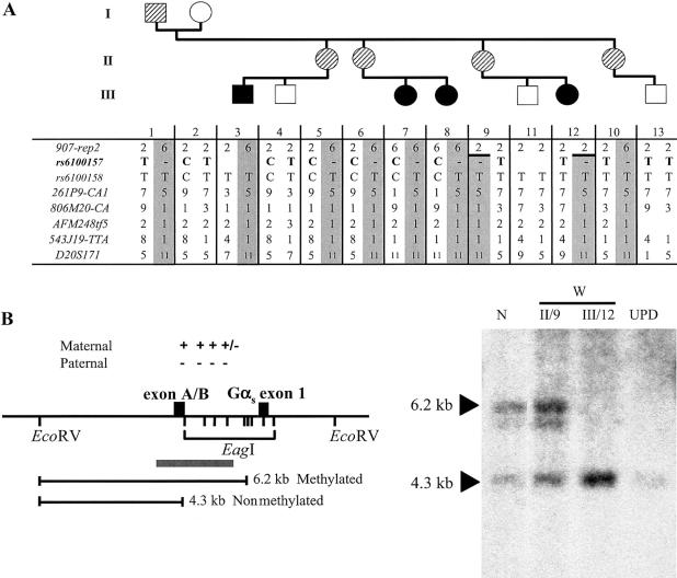 Figure  2