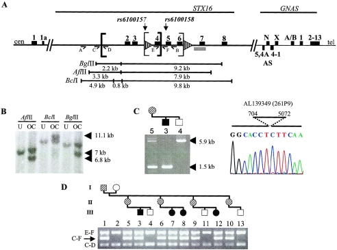 Figure  4