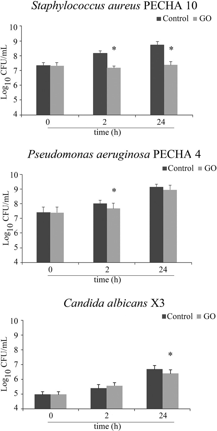 FIG 1