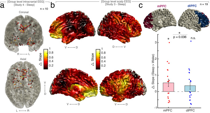 Figure 2—figure supplement 3.