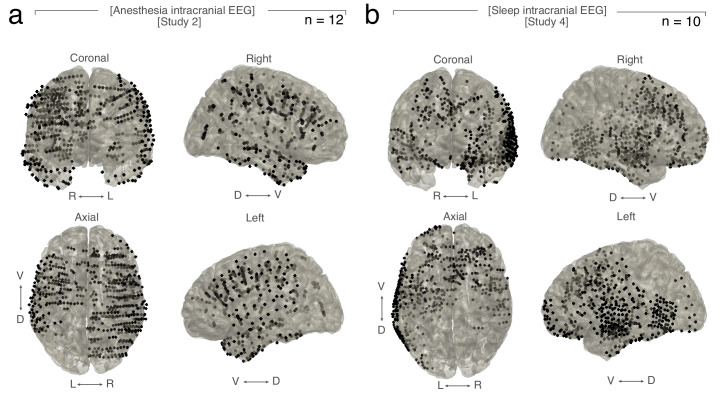 Figure 1—figure supplement 1.