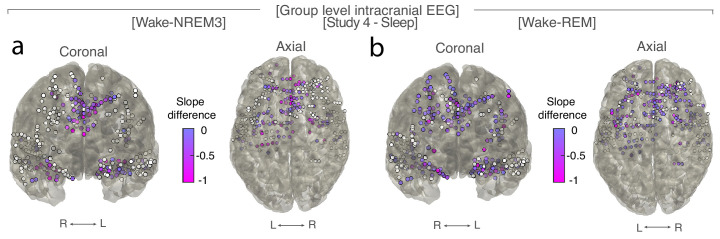 Figure 2—figure supplement 4.