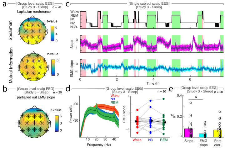 Figure 2—figure supplement 2.