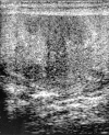 <i>Figure 2</i>