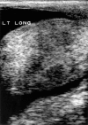 <i>Figure 1</i>