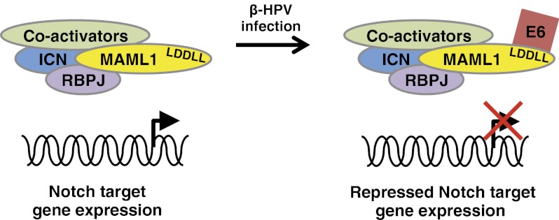 Fig. P1.