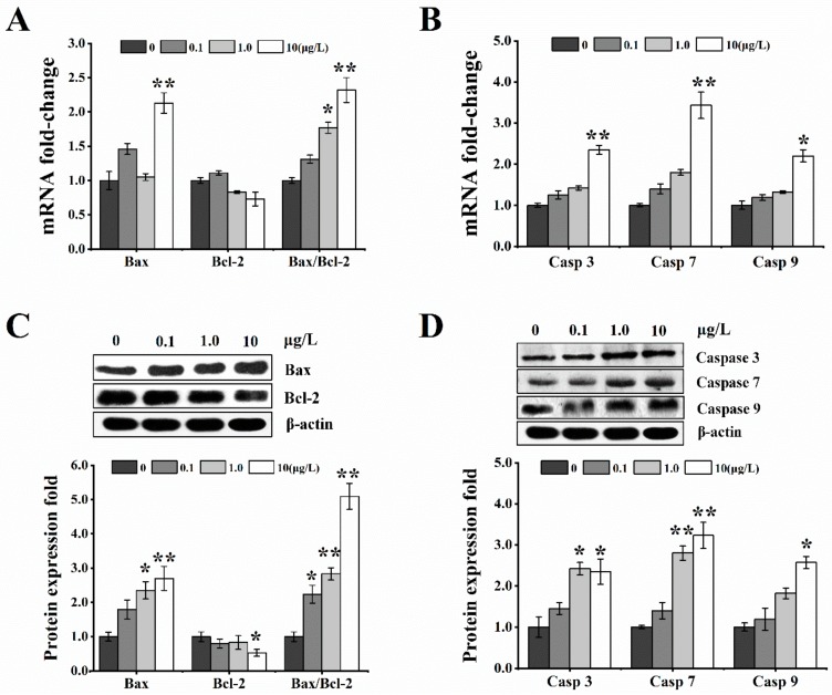 Figure 7