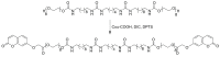 Scheme 3
