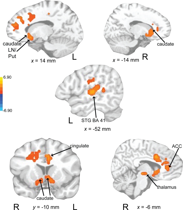 Figure 10