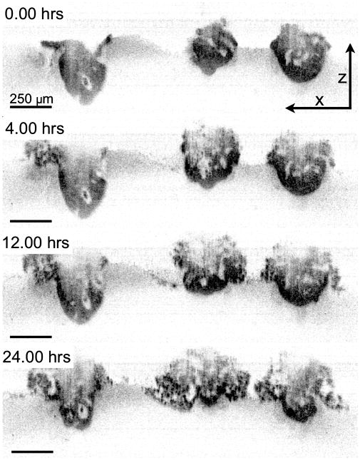 Figure 10