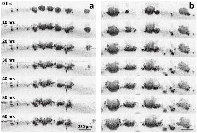 Figure 9