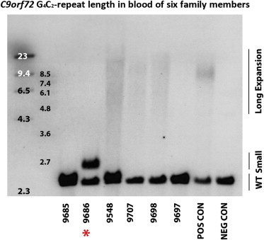 Figure 3