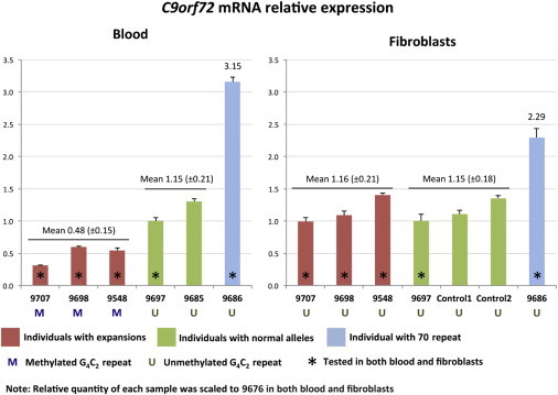 Figure 6