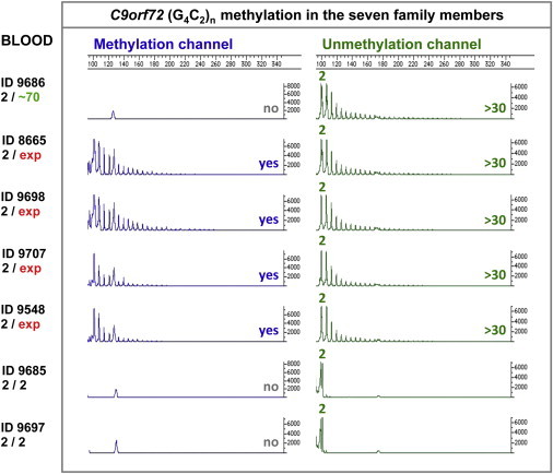 Figure 5