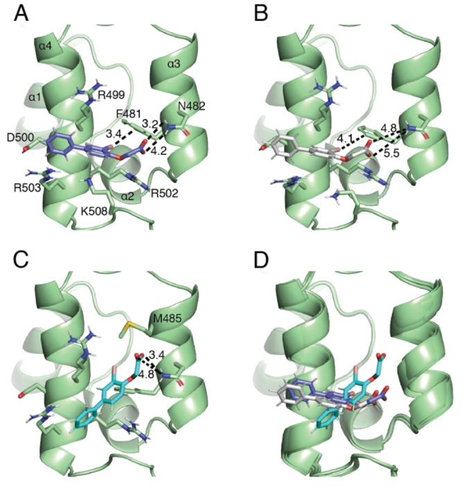 Figure 5