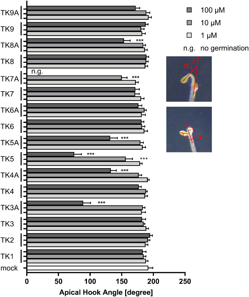Fig. 1. Effect of TKs on apical hook development. Arabidopsis seedlings were photographed and analyzed for hook bending. The insets depict the manner in which the angle of the hook curvature was determined. Some of the TKs rescued the hook formation in Arabidospsis. Each bar shows the mean±S.E., n≥14, *** p<0.001, Dunnett’s test vs. mock.