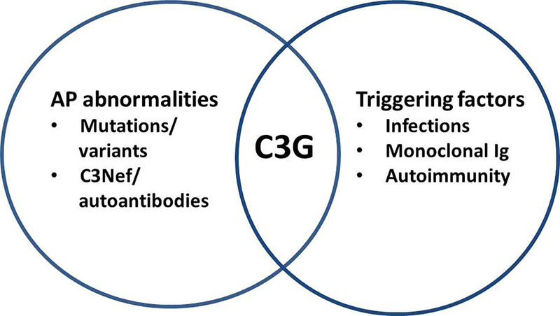 Figure 6: