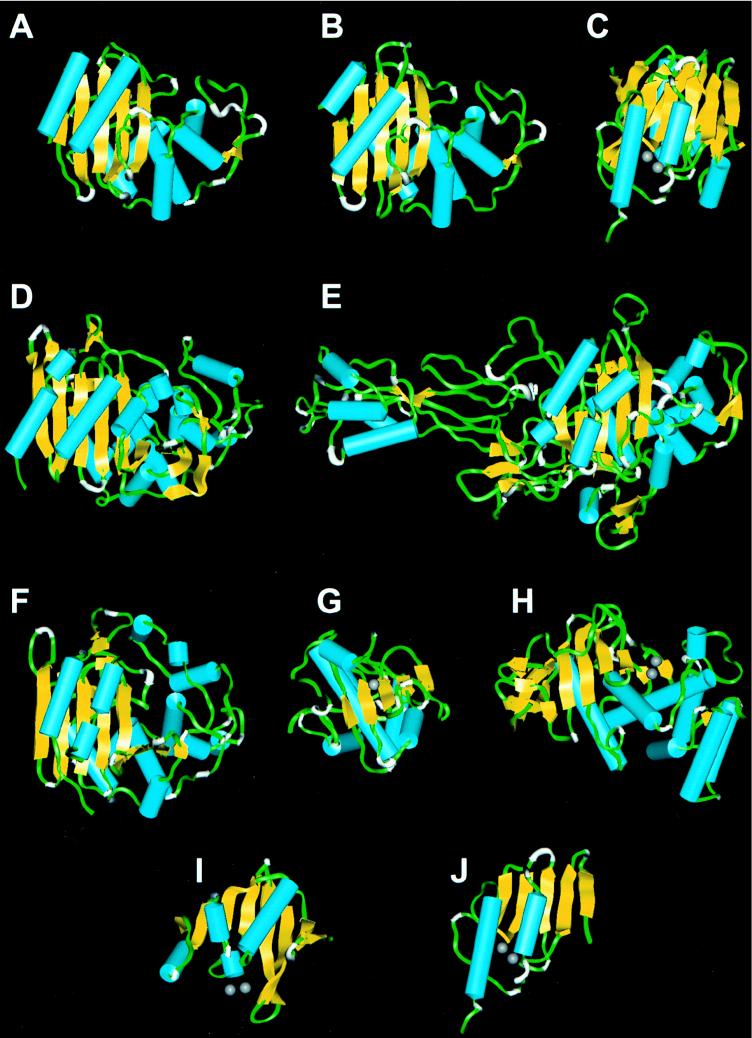 FIG. 3