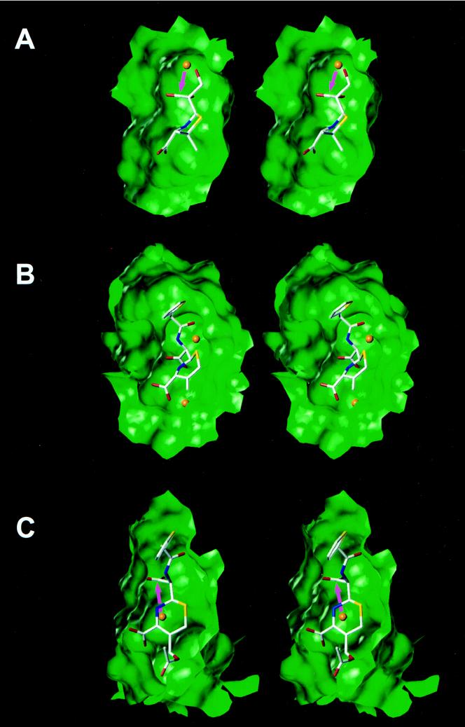 FIG. 5