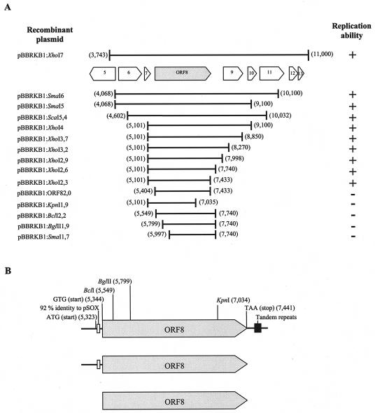 FIG. 2.