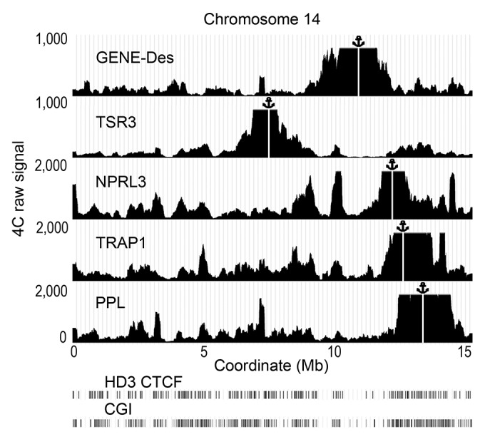 graphic file with name epi-9-951-g6.jpg