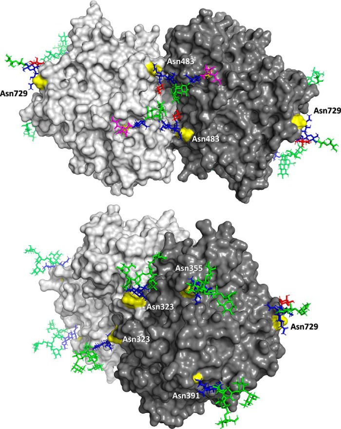 Figure 7.