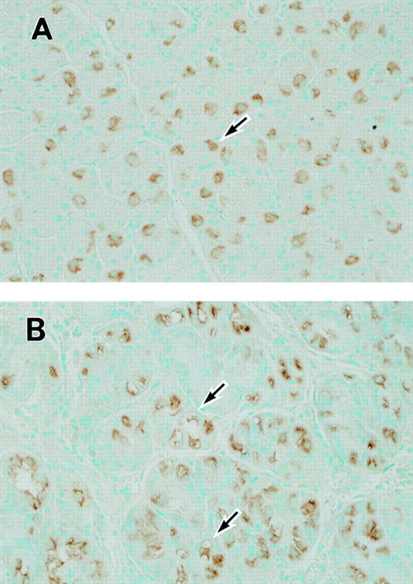 Figure 1  