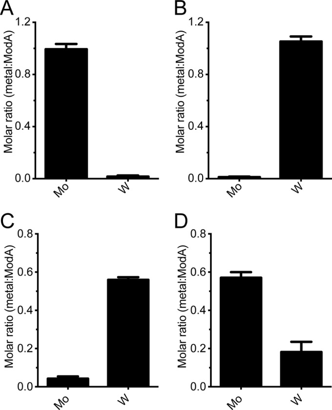FIG 2