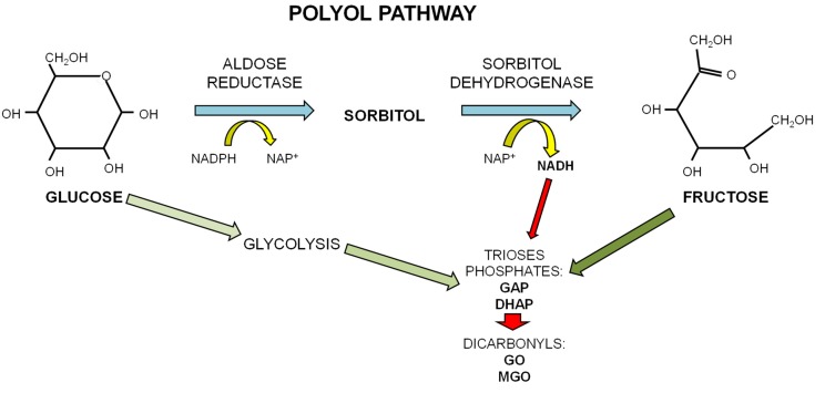 Scheme 2