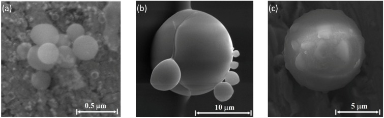 Figure 11