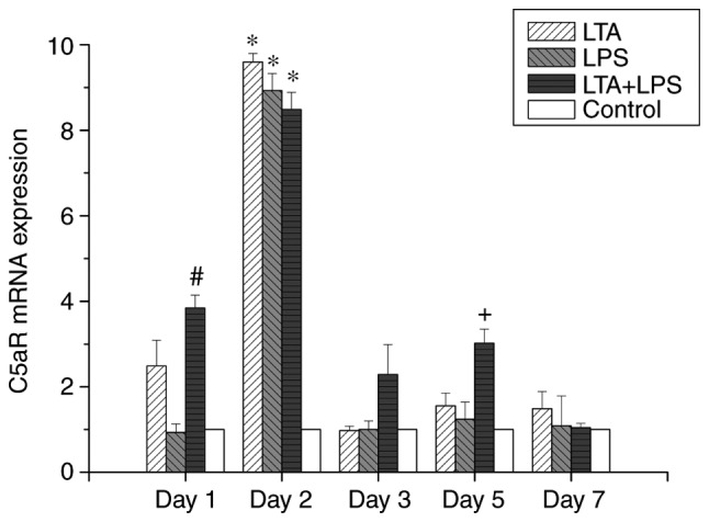 Figure 5