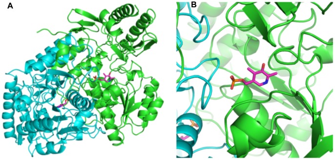 Figure 4