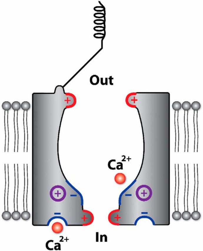 Figure 10.