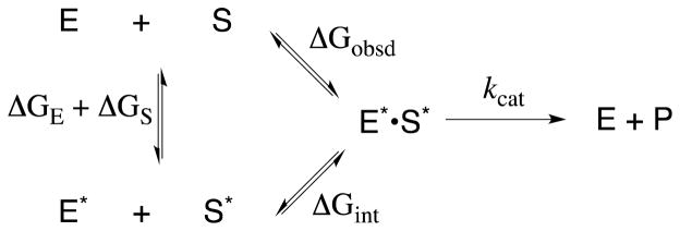 Scheme 5