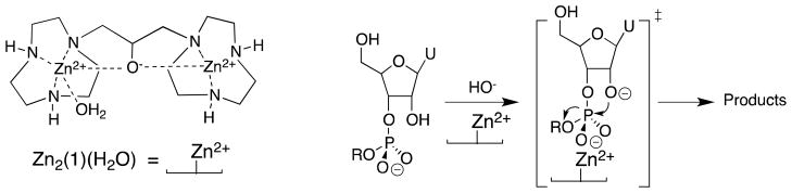 Scheme 3