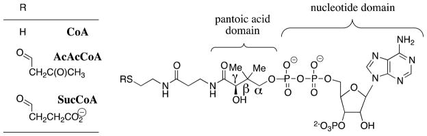 Scheme 6