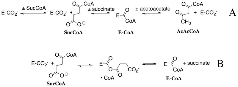 Scheme 7