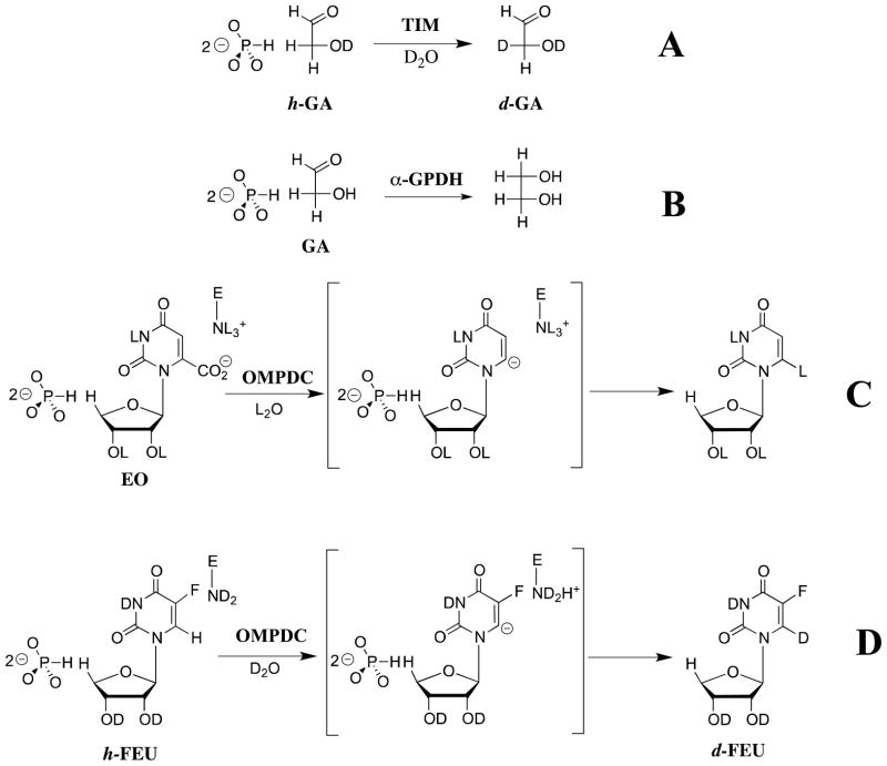 Scheme 8