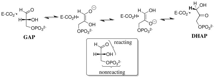 Scheme 2