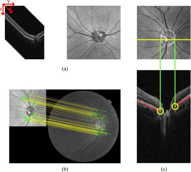 Fig. 2