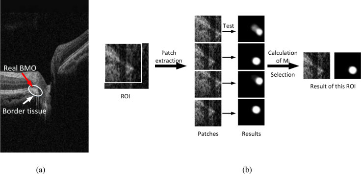 Fig. 5