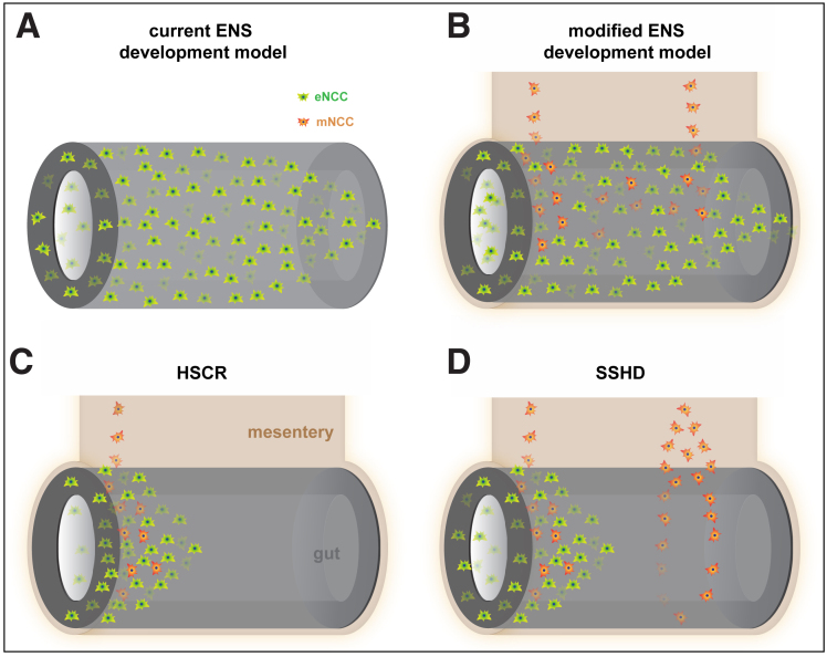 Figure 12