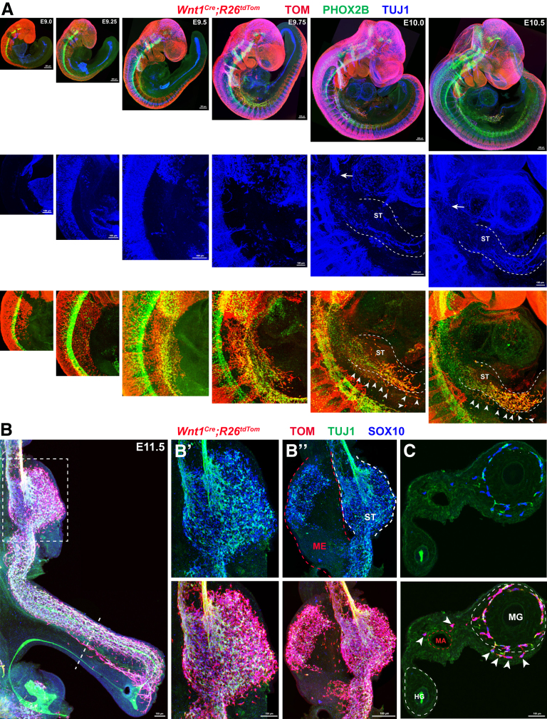 Figure 3