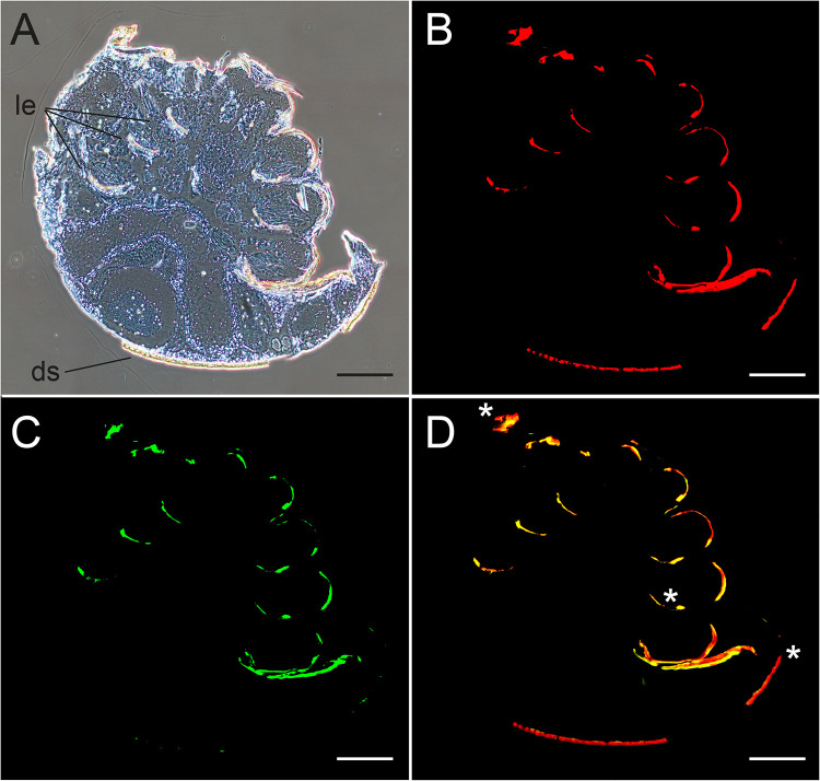 FIG 6