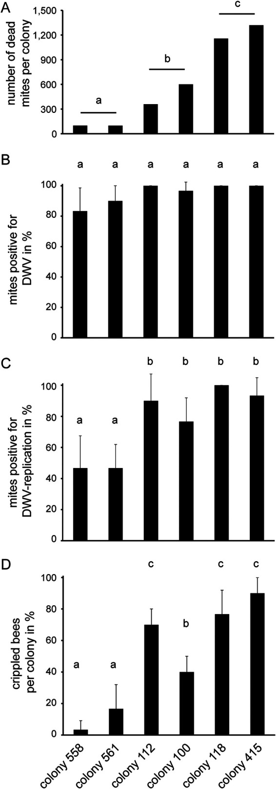 FIG 1