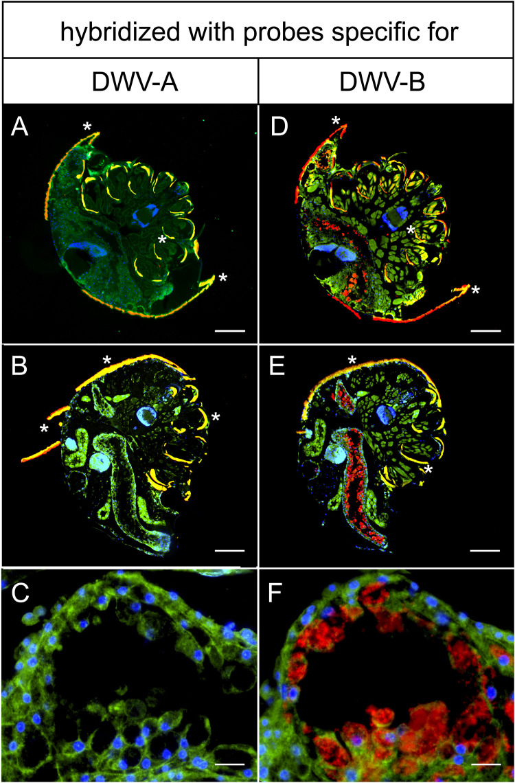 FIG 4